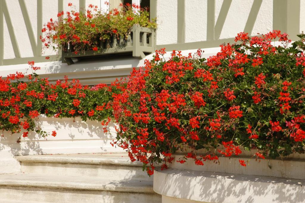 Manoir De Benerville Bed and Breakfast Deauville Esterno foto