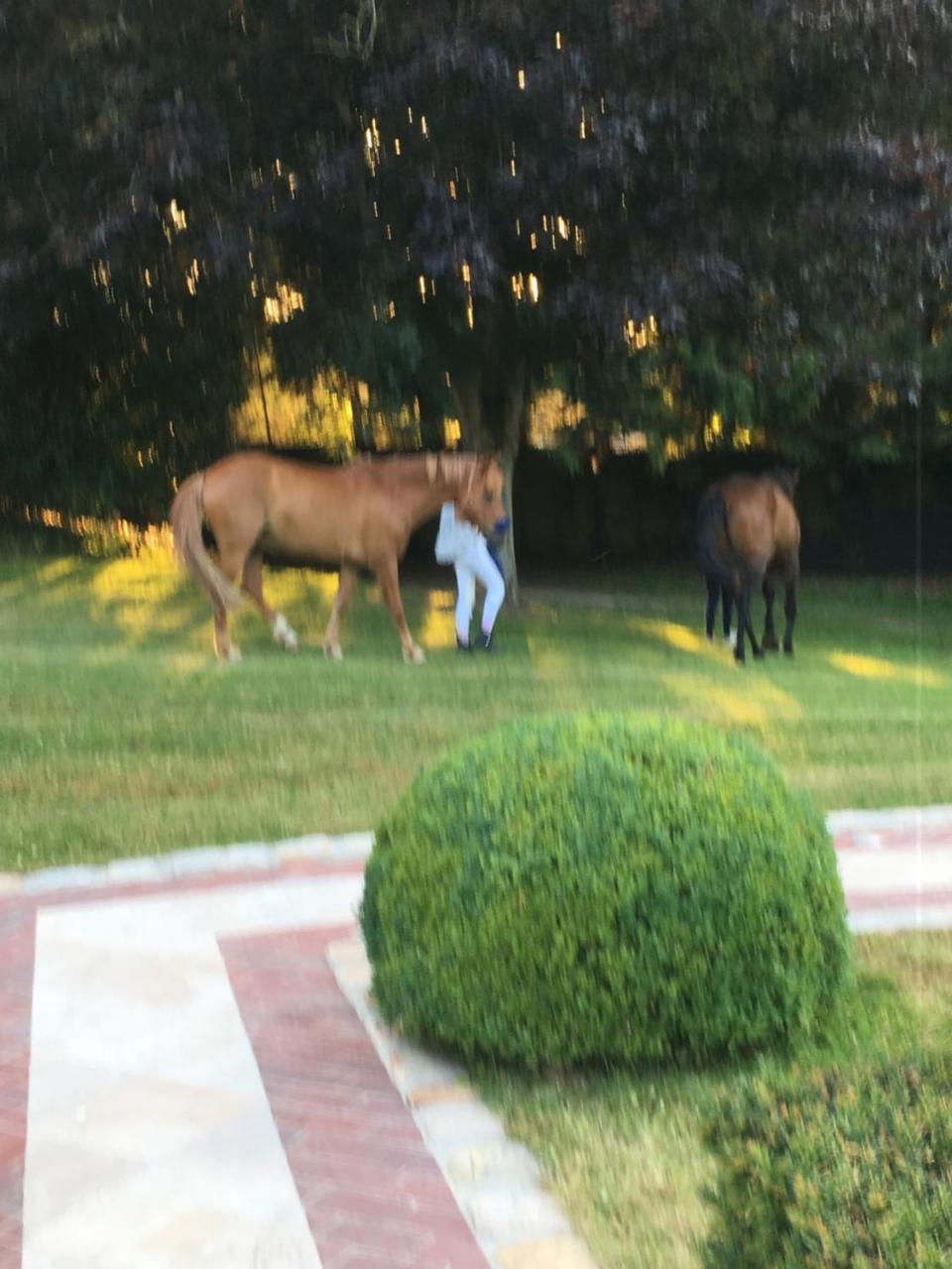 Manoir De Benerville Bed and Breakfast Deauville Esterno foto
